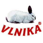 Vlnika